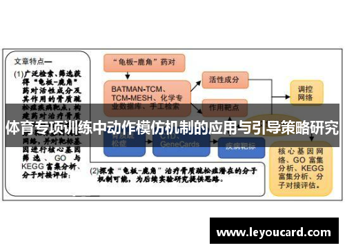 体育专项训练中动作模仿机制的应用与引导策略研究