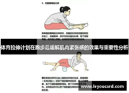 体育拉伸计划在跑步后缓解肌肉紧张感的效果与重要性分析